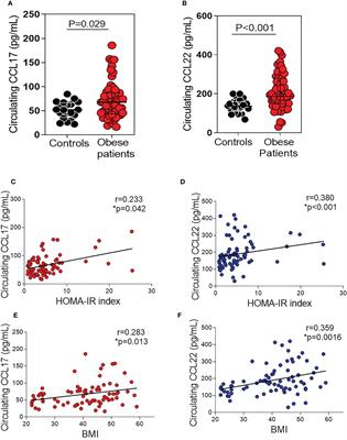 CCL17 and CCL22 chemokines are upregulated in human obesity and play a role in vascular dysfunction